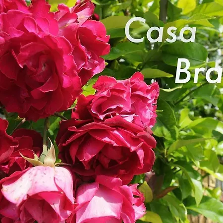 Casa Branca * Serpins