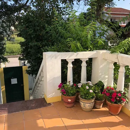 Casa Branca * Serpins